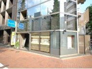 aboutginza1.jpg