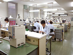 aboutchiba10.jpg