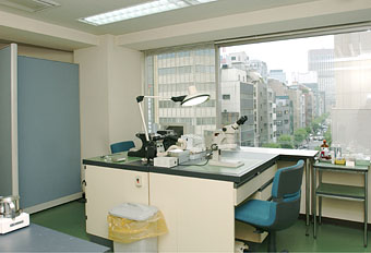 6f-1.jpg