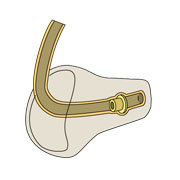 em05.jpg