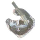 qa03-16-02.jpg
